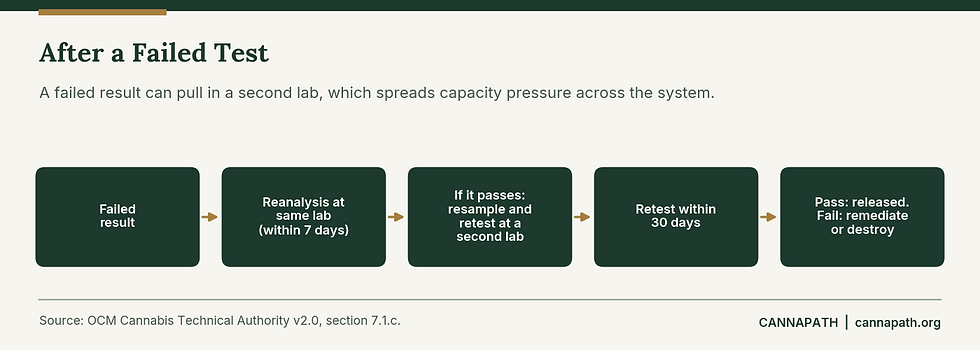 Flow diagram of the Minnesota process after a failed cannabis lab test, including reanalysis, retest at a second lab, remediation, and CAPA.