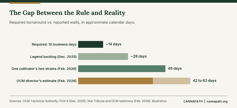 Bar chart comparing Minnesota's required cannabis lab turnaround time with reported testing delays in 2025 and 2026.