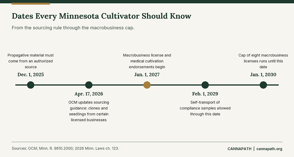 Timeline of key dates for Minnesota cannabis cultivators, from the December 2025 sourcing rule through the 2030 macrobusiness license cap.