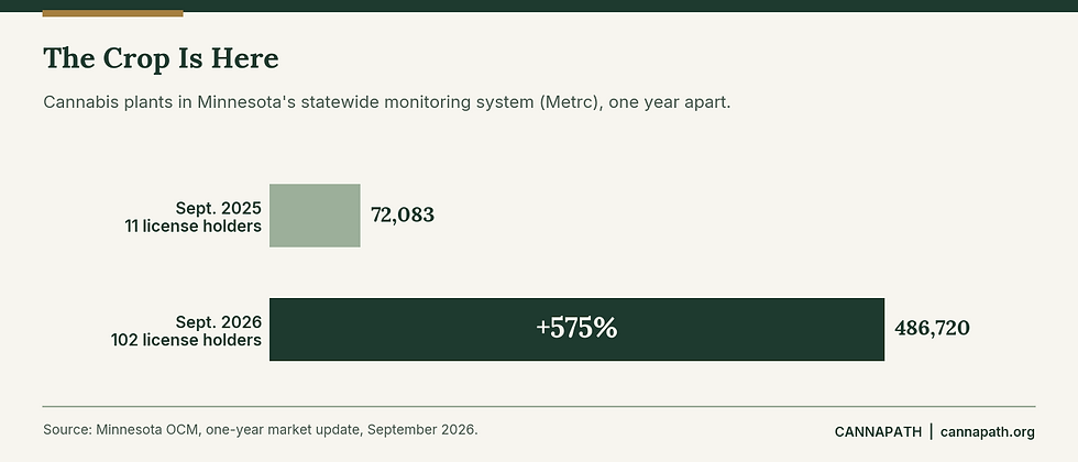 Bar chart showing cannabis plants in Minnesota's Metrc system growing from 72,083 in September 2025 to 486,720 in September 2026.