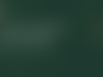 Hiring a Minnesota Cannabis Compliance Consultant