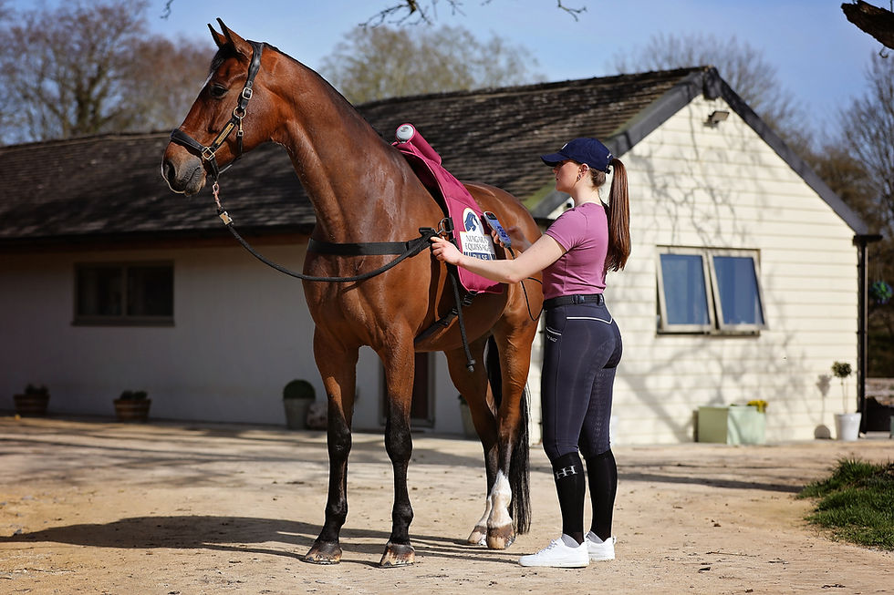 Plum Equissage Pulse Digital Pad