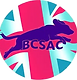 British Cocker Spaniel Championships Canissage Show