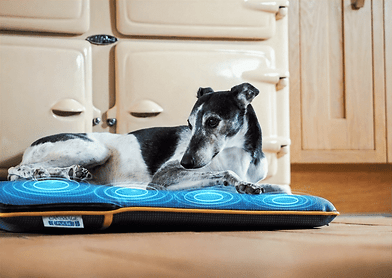 canissage-therapy-bed-vibrations-animated.gif