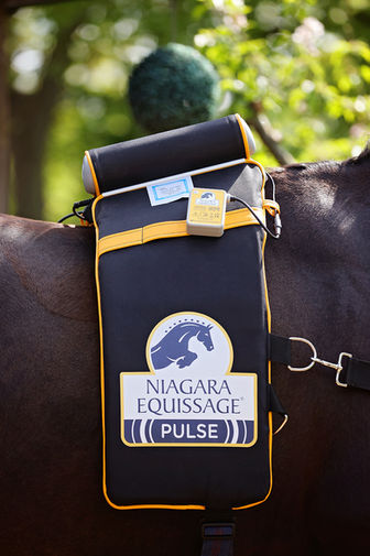 Black and Gold Equissage Saddle