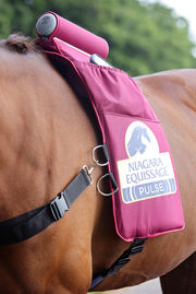Niagara Equissage | Equine Massage Therapy Equipment for Horses Niagara Equissage | Equine Massage Therapy Equipment for Horses