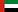 UAE Flag