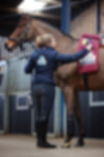 using Niagara Equissage massage therapy daily will help keep your horse supple and relaxed.