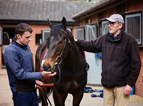 James Fanshaw Racehorse trainer uses Niagara Equissage pre and post exercise.