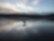 IMG_2586.jpeg