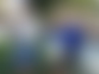 SD Kids Helping Families and Animals Impacted by Wildfires