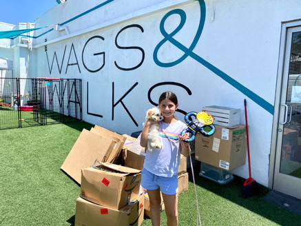 LA Kids Giving Back Supports Wags and Walks