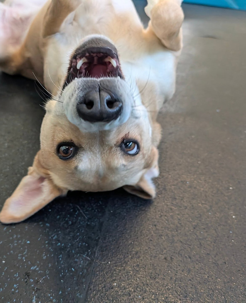 cute.jpg