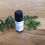 Thumbnail: SLEEP Flower Remedy