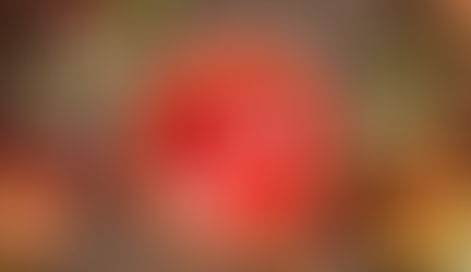 November 2025's Newsletter