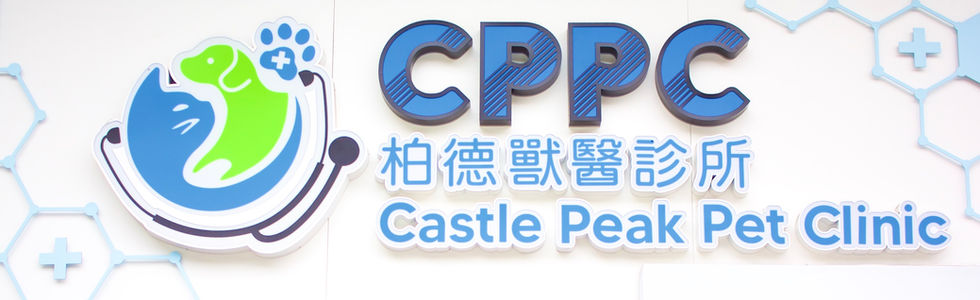 cppc00053.jpg