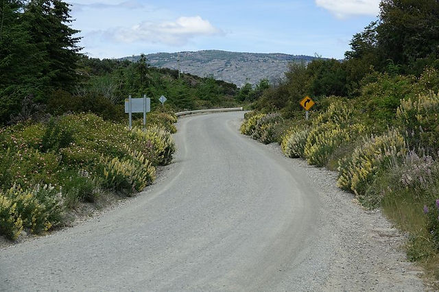 DSC09237