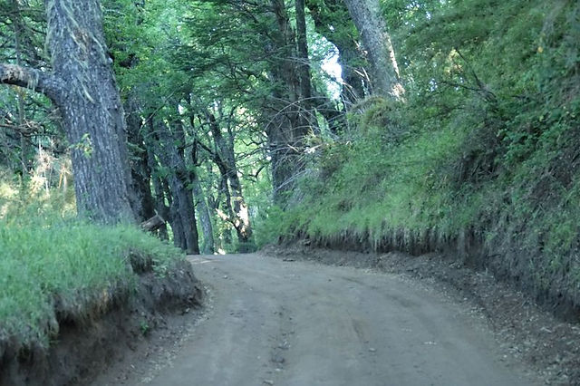 DSC02536