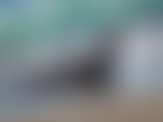 San Simeon - Piedras Blancas