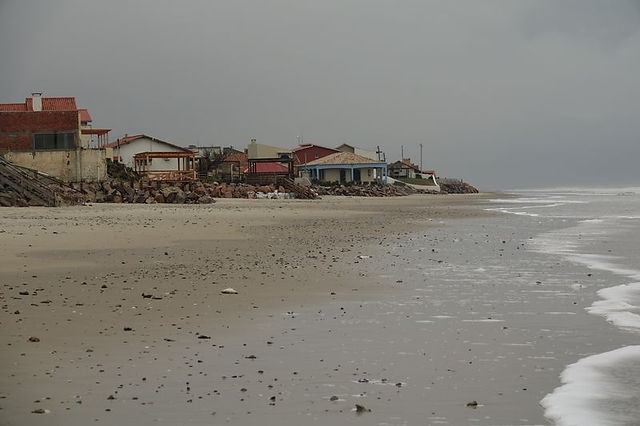 DSC06181