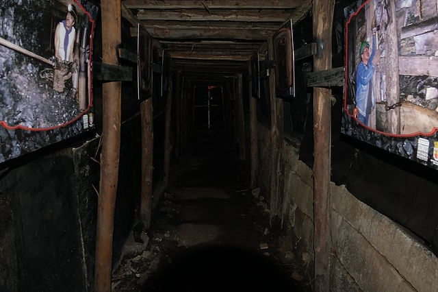 DSC03344
