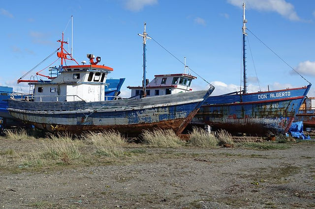 DSC06074