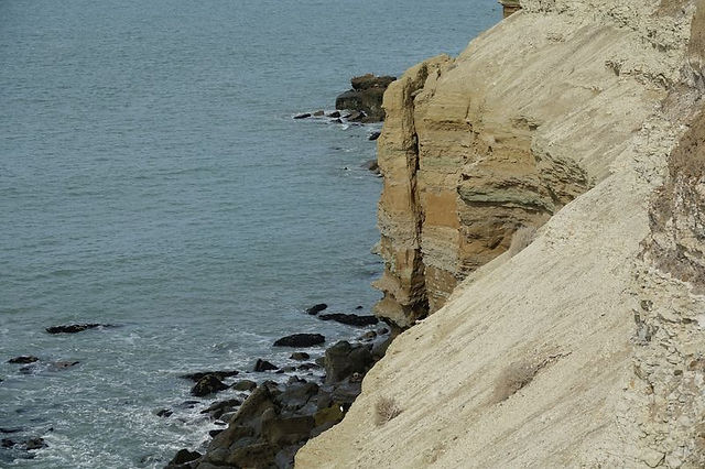 DSC04203