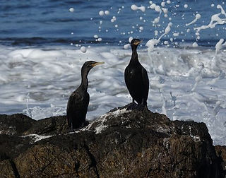 DSC05680_edited