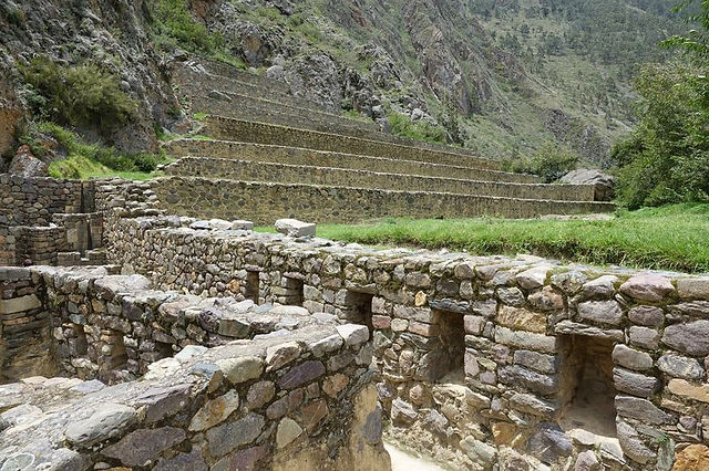 DSC06976