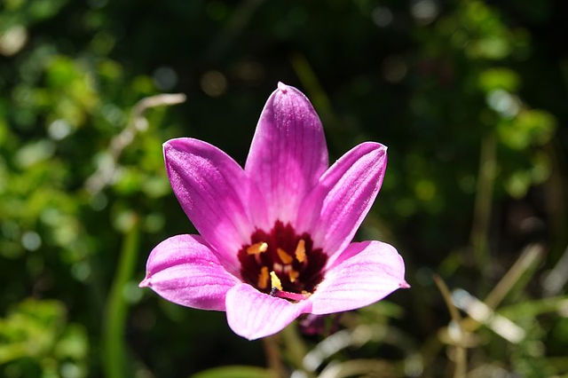 DSC02928