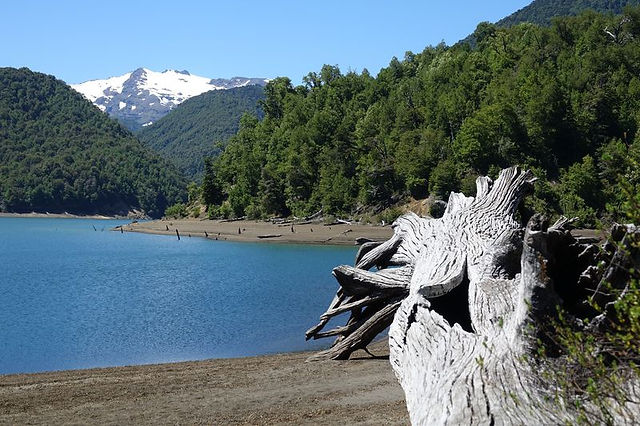 DSC02754 - Copie
