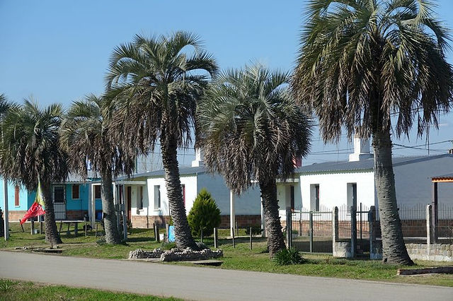 DSC05459