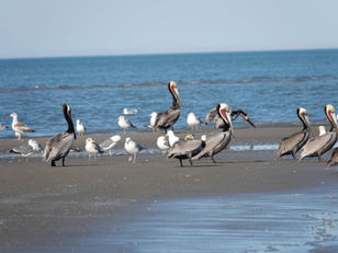 San Felipe - Baja California