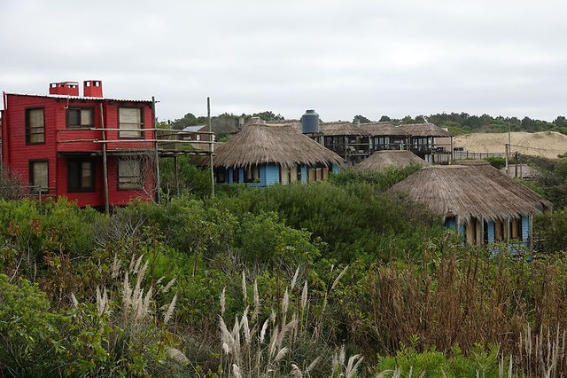 DSC05973