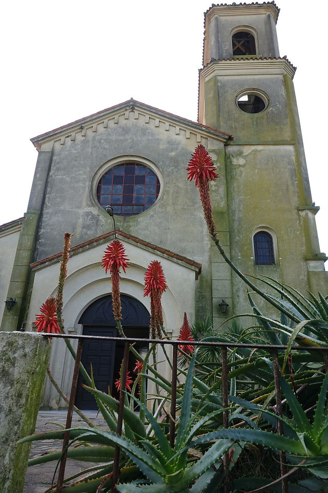 DSC05244