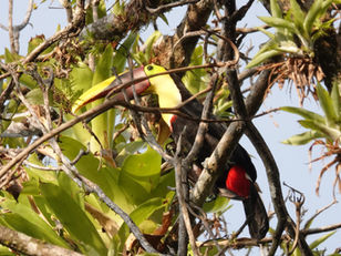 Costa Rica - Pura Vida - Jour 10