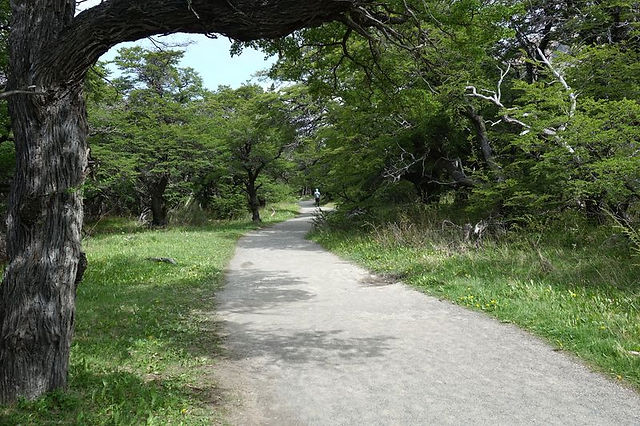 DSC08266