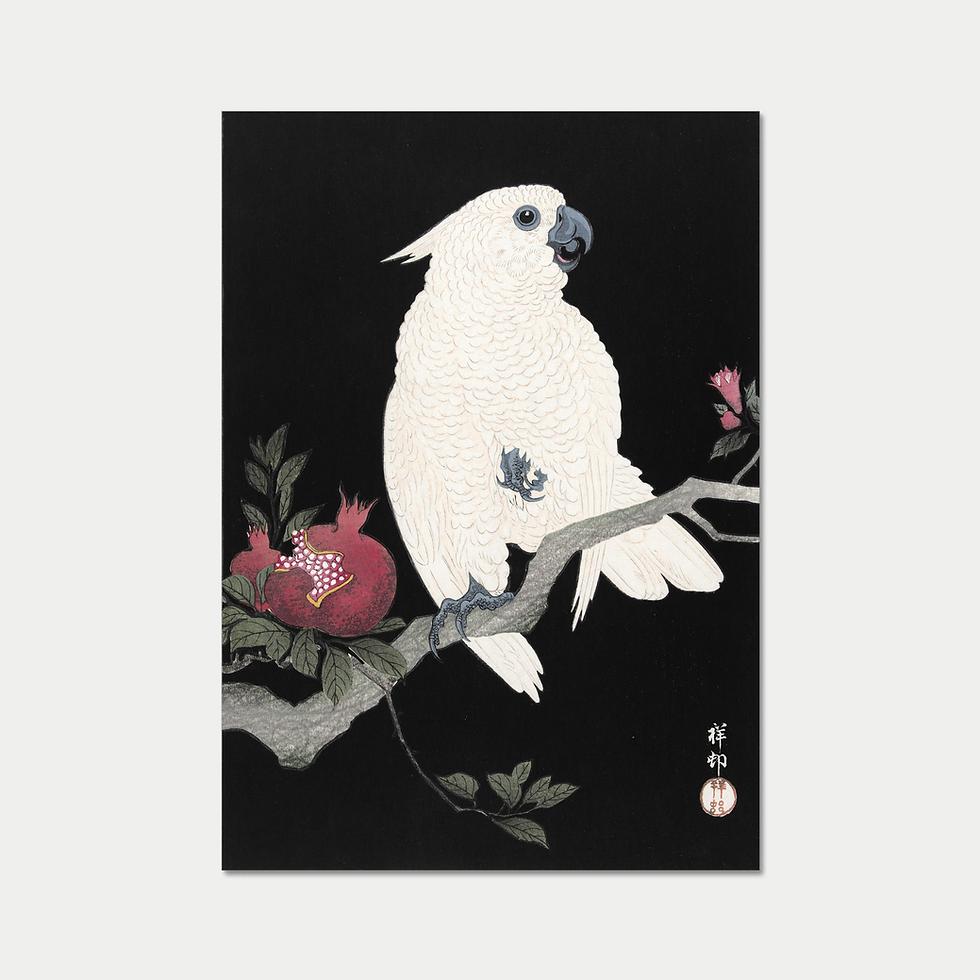 Thumbnail: Cockatoo and Pomegranate | Ohara Koson Unframed Vintage Print