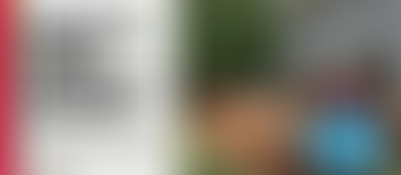 Toby thumbs up and deck repair project