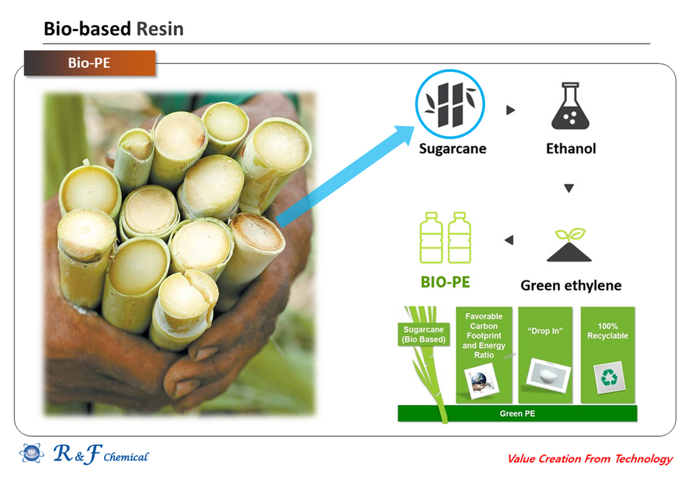 Examples Of Biodegradable Plastics