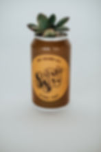Thumbnail: Seventh Son 'Stone Fort' x Crassula ovata 'Baby Jade'