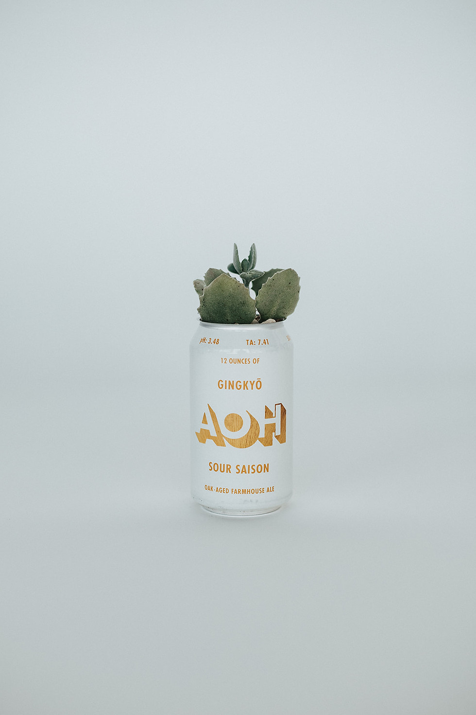 Thumbnail: Build Your Own Custom Plant & Can