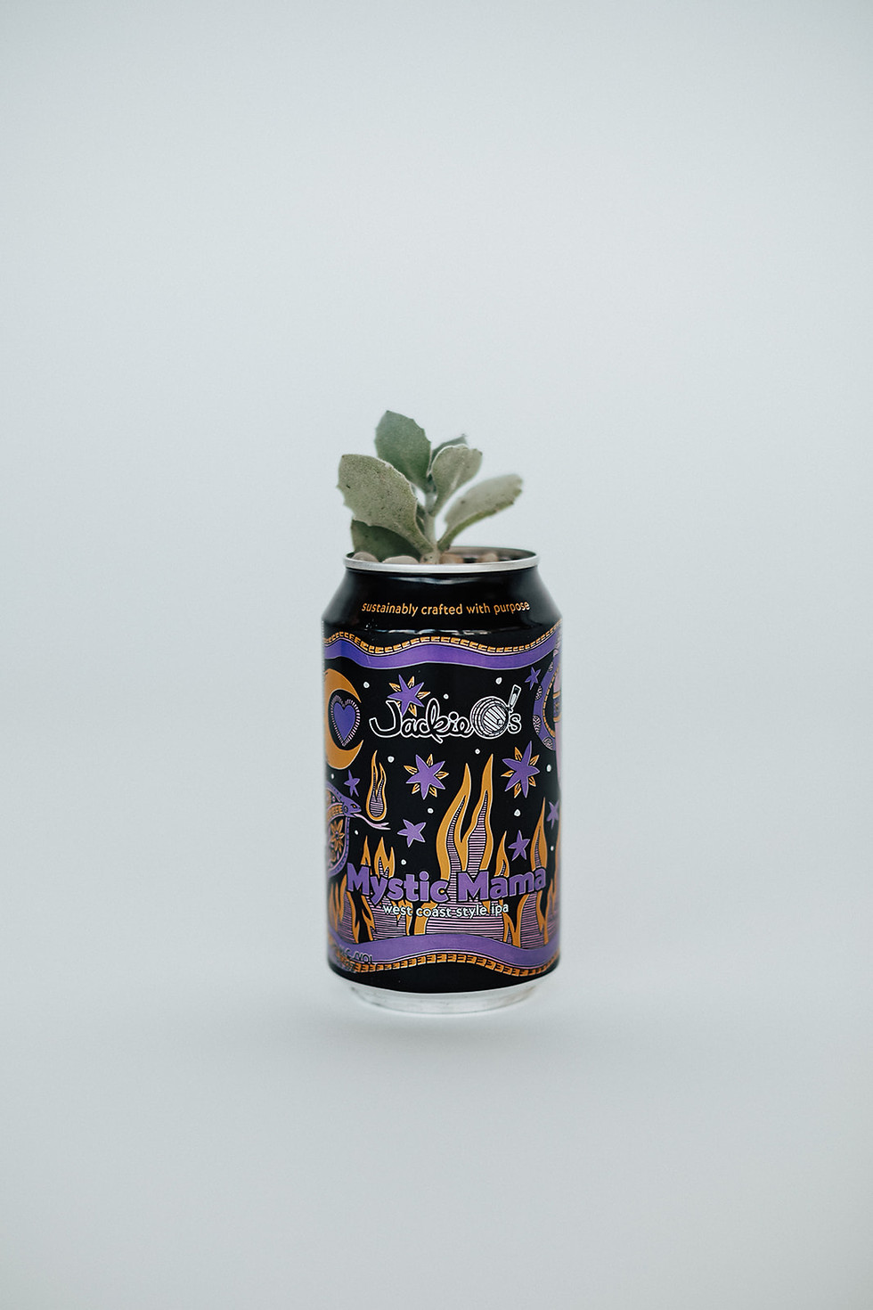 Thumbnail: Build Your Own Custom Plant & Can