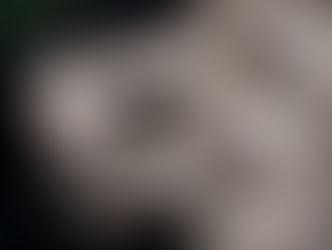 Правда вне оценок