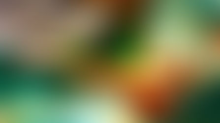 Исполнение желаний