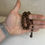 Miniaturbild: Mastercrafted Aromatic Cinnamon Wood Tasbih – Mascot Model