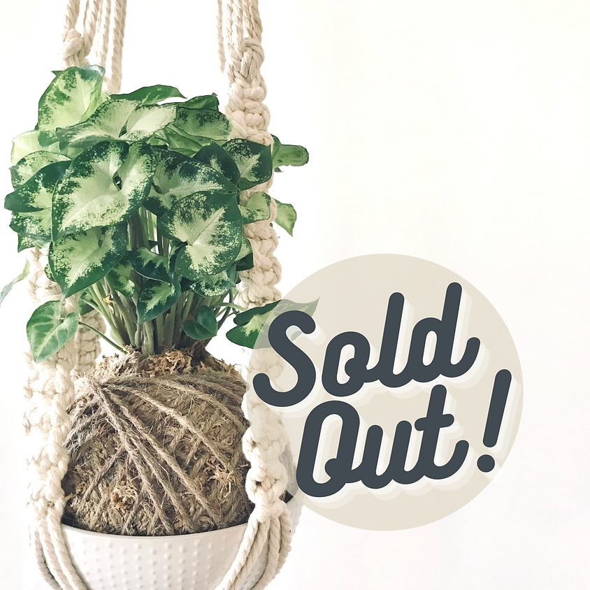 KOKEDAMA AND MACRAMÉ PLANT HANGER with Mel and Dianna