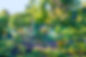 iStock-996448270.jpg