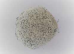 photo bao-spir.jpg