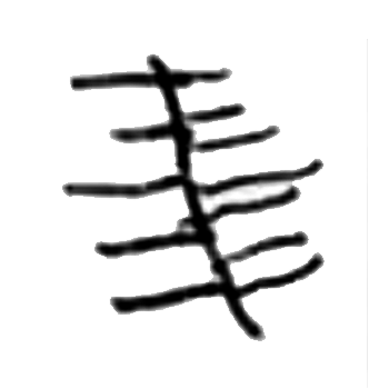 verbo1.gif